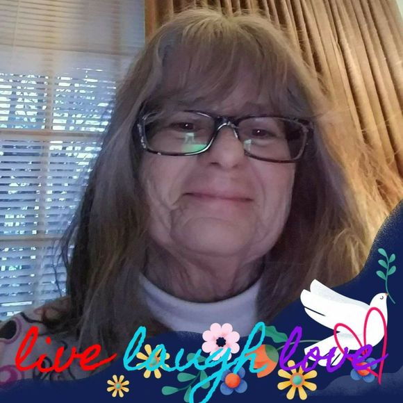 Meet your Posher, Donna - Picture 1 of 1